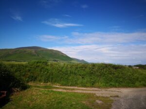 black combe