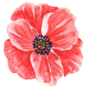 Remembrance poppy